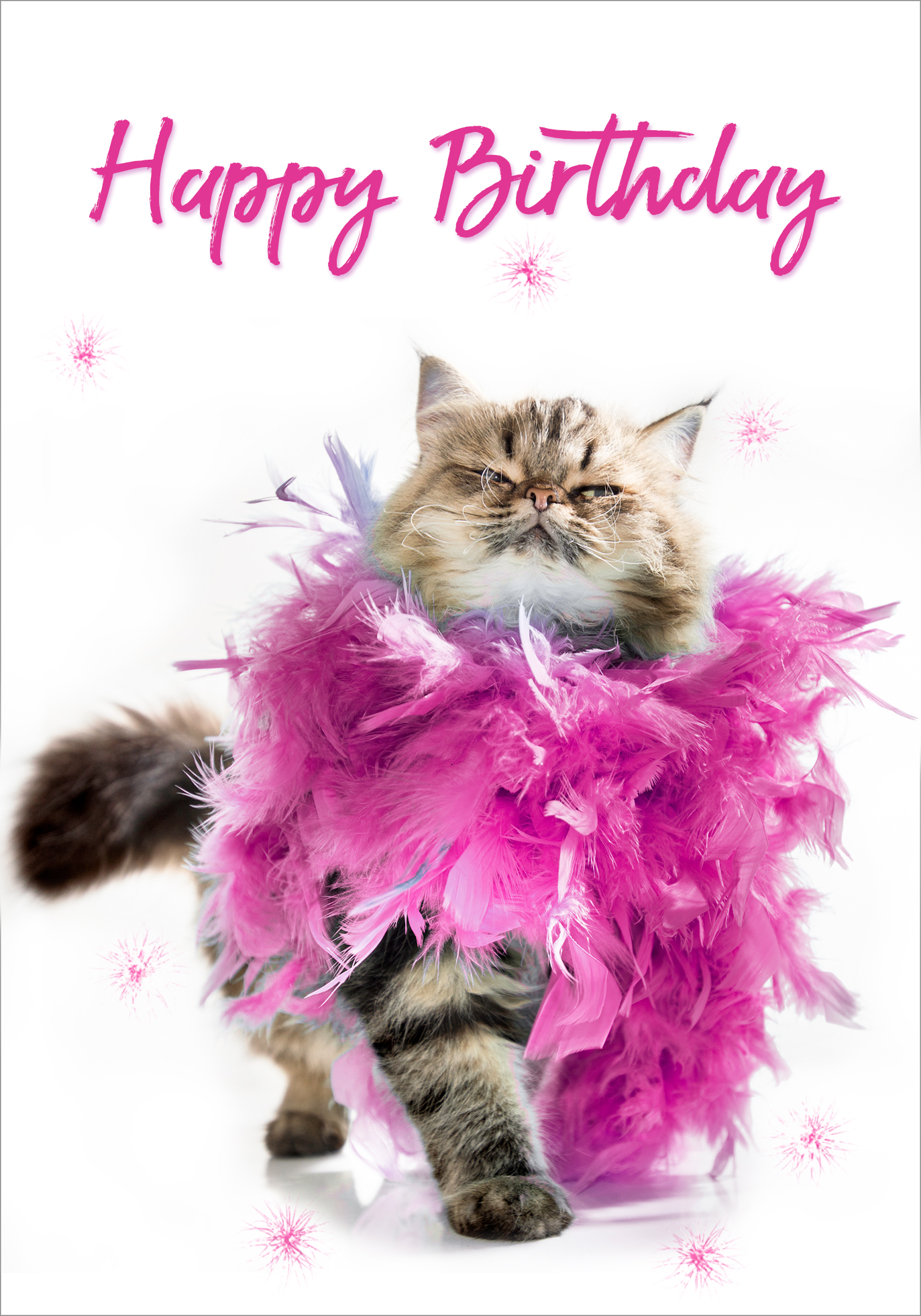 “Happy Birthday” Cat with Feather Boa – cards only